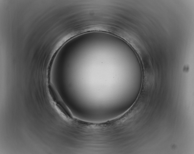 X0000097660898200802291423