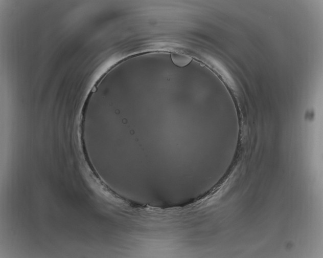 X0000097660899200802291423