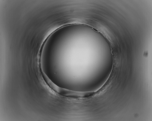 X0000097660900200802291423