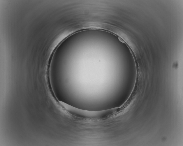 X0000097660901200802291423