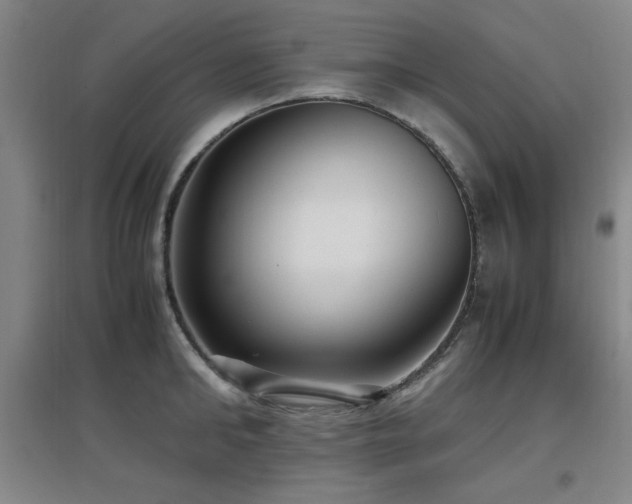 X0000097660902200802291423