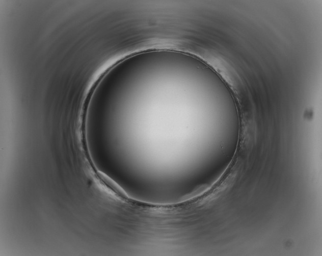 X0000097660904200802291423
