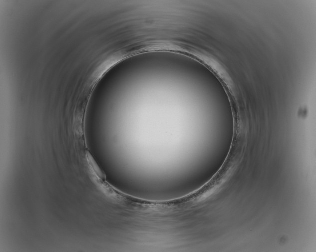X0000097660905200802291423