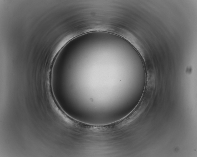 X0000097660906200802291423
