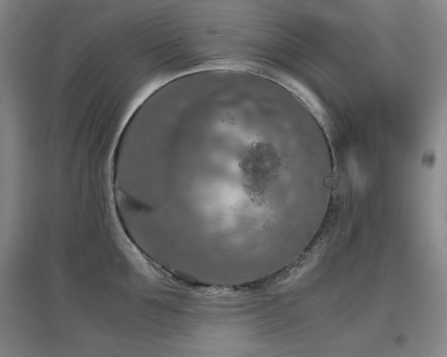 X0000097660907200802291423