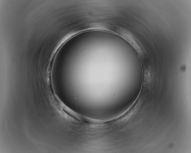 X0000097660908200802291423