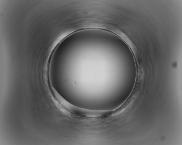 X0000097660909200802291423