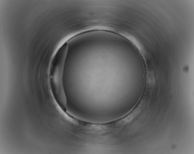 X0000097660910200802291423