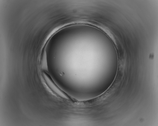 X0000097660911200802291423