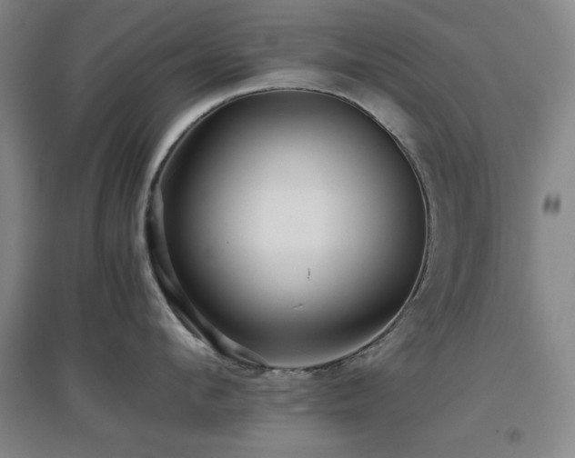 X0000097660912200802291423