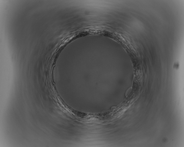 X0000097660913200802291422