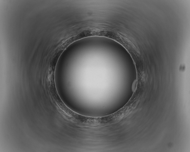 X0000097660914200802291422