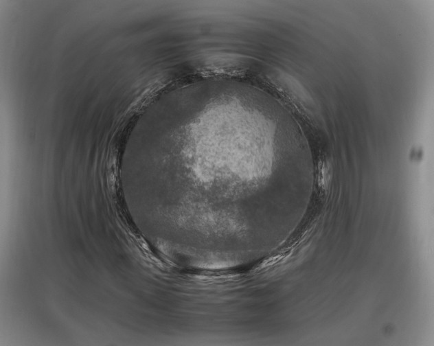 X0000097660915200802291422