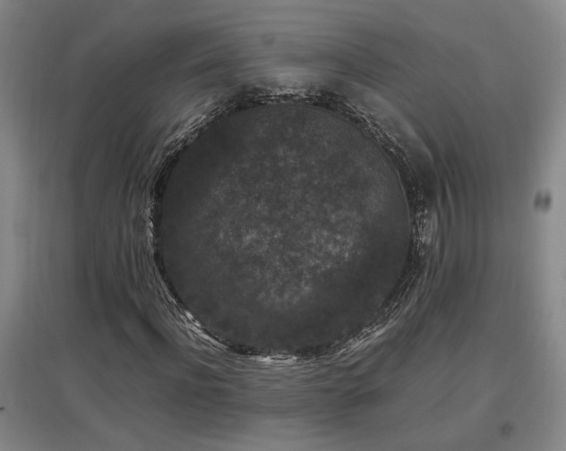 X0000097660916200802291422
