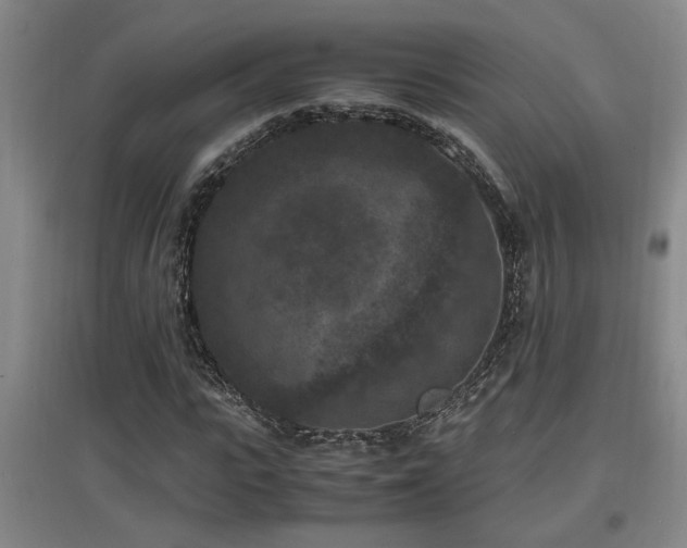 X0000097660919200802291423