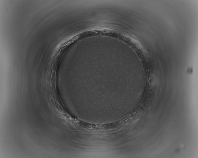 X0000097660920200802291423