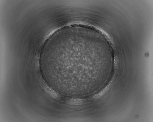 X0000097660921200802291423