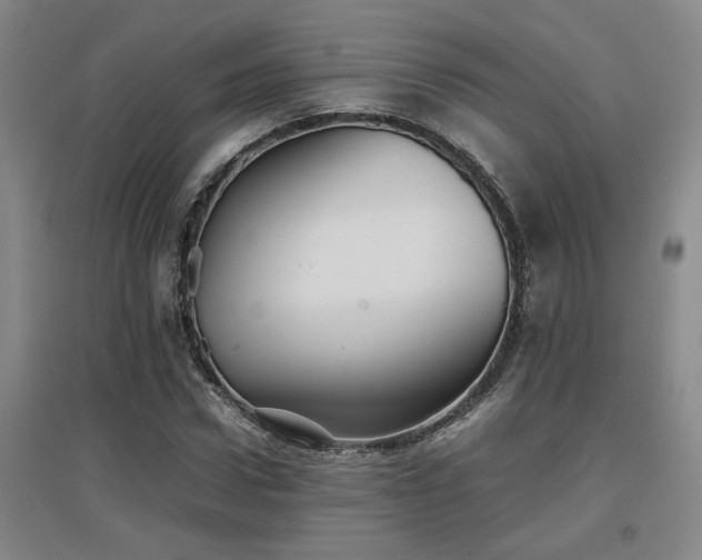 X0000097660922200802291423