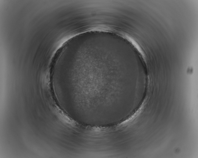 X0000097660923200802291423