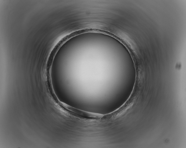 X0000097660924200802291423