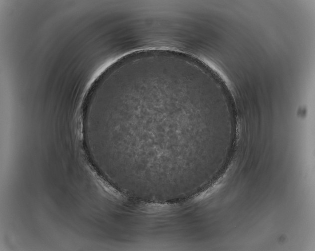 X0000097660925200802291423