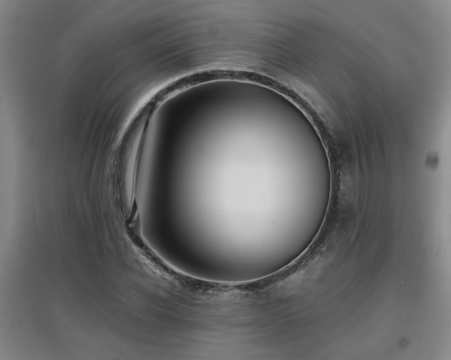 X0000097660926200802291423