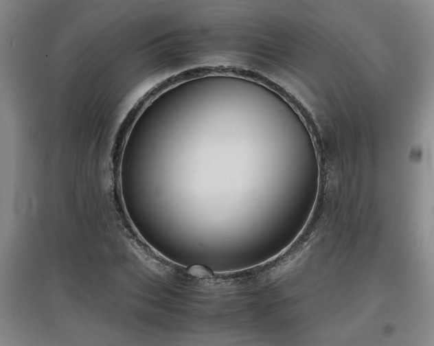 X0000097660927200802291423