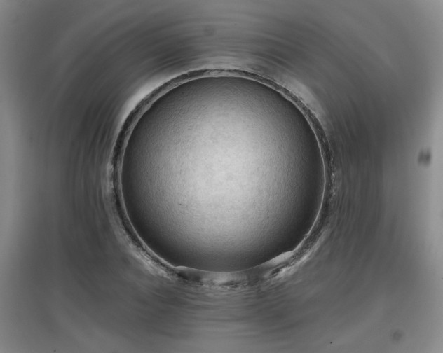 X0000097660928200802291423