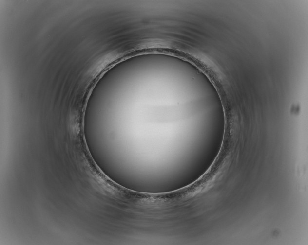 X0000097660929200802291423