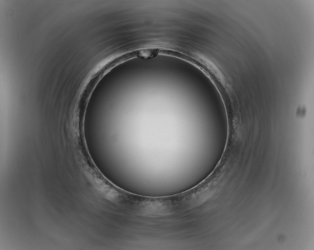 X0000097660931200802291423