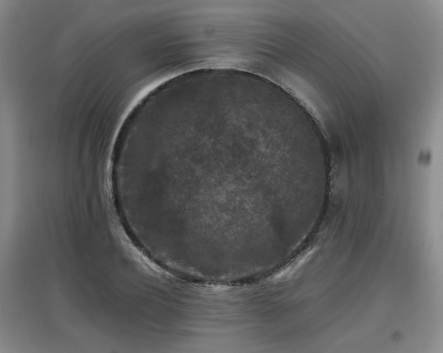 X0000097660932200802291423