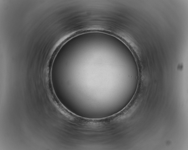 X0000097660933200802291423