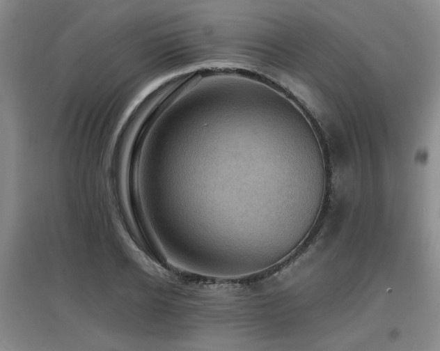 X0000097660934200802291423