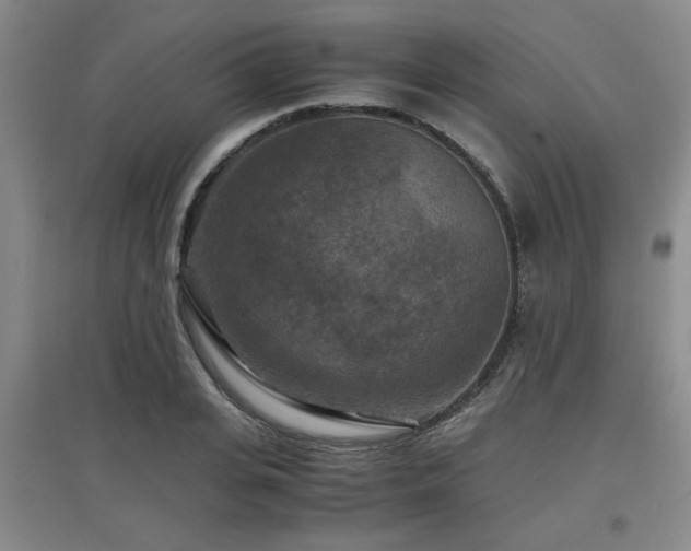 X0000097660935200802291423