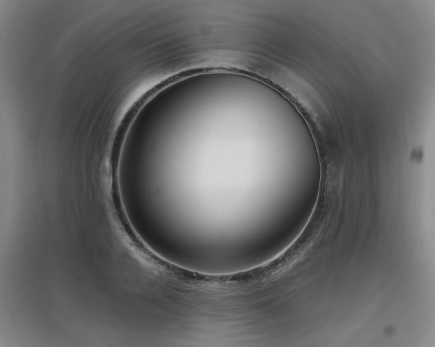 X0000097660936200802291423