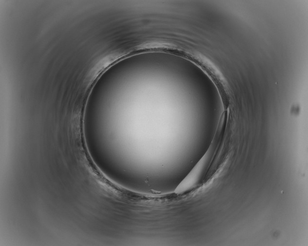 X0000097660937200802291423