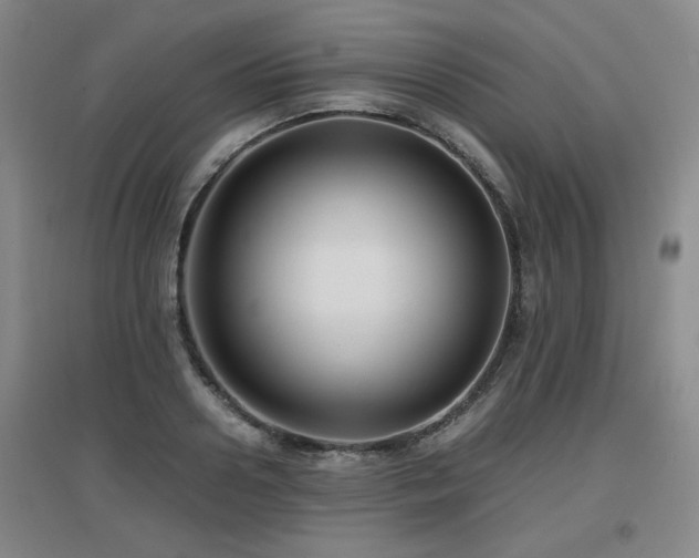 X0000097660938200802291423