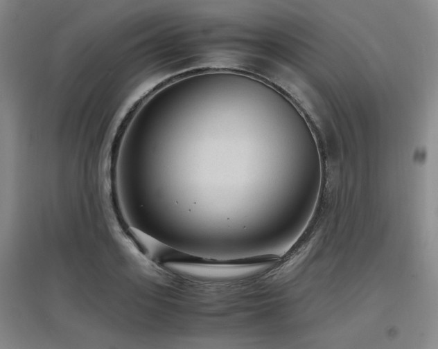 X0000097660939200802291423