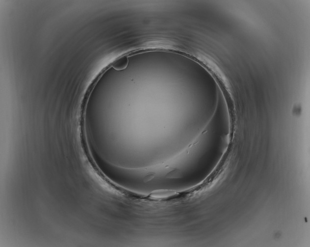 X0000097660941200802291423