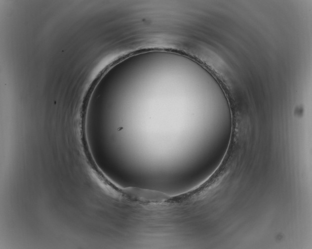 X0000097660942200802291423