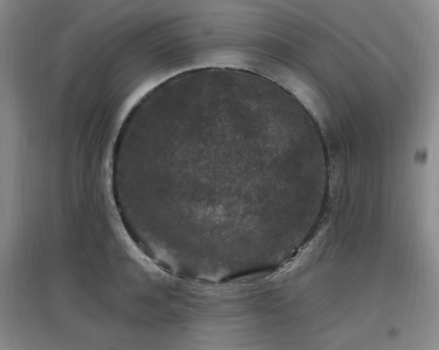 X0000097660944200802291423