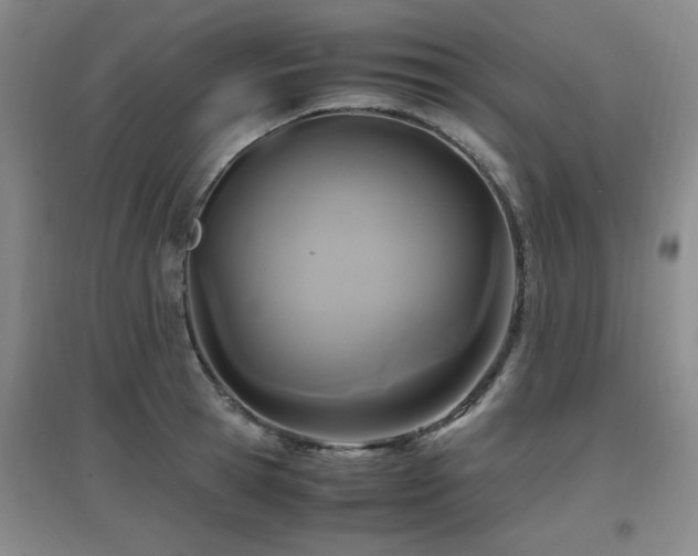 X0000097660945200802291423
