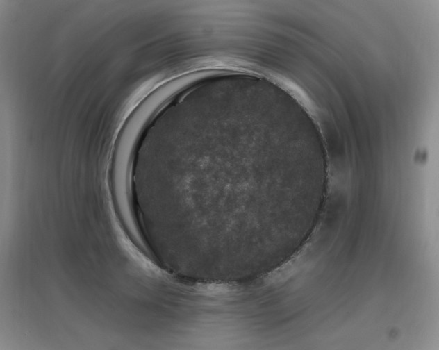 X0000097660946200802291423