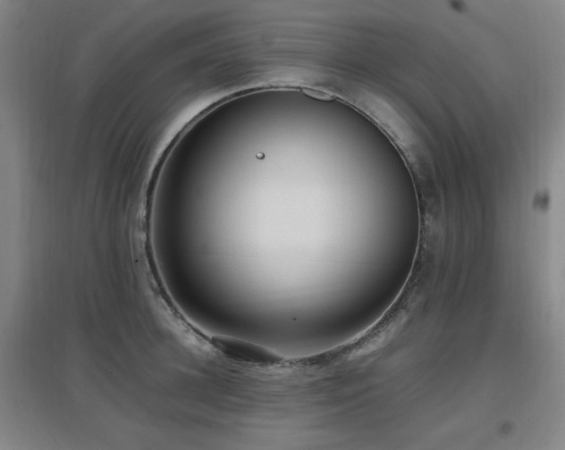 X0000097660948200802291423