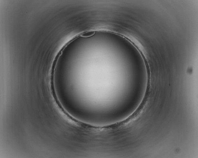 X0000097660949200802291423