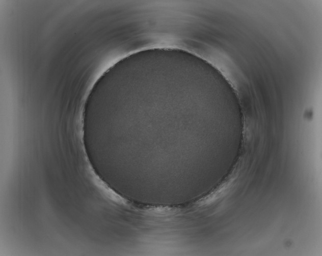 X0000097660950200802291423