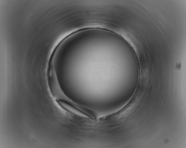 X0000097660951200802291423