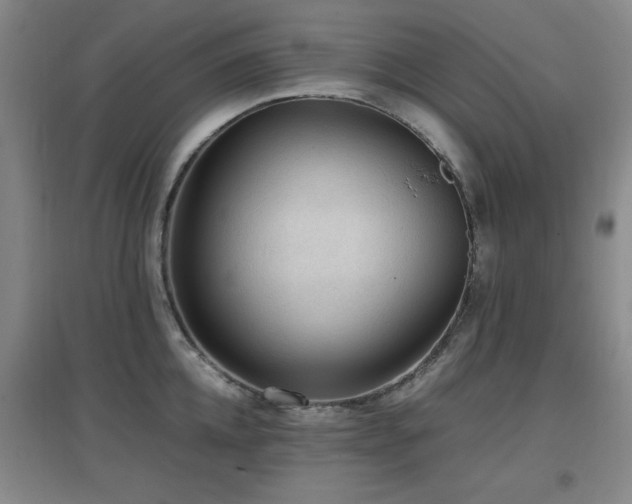 X0000097660952200802291423