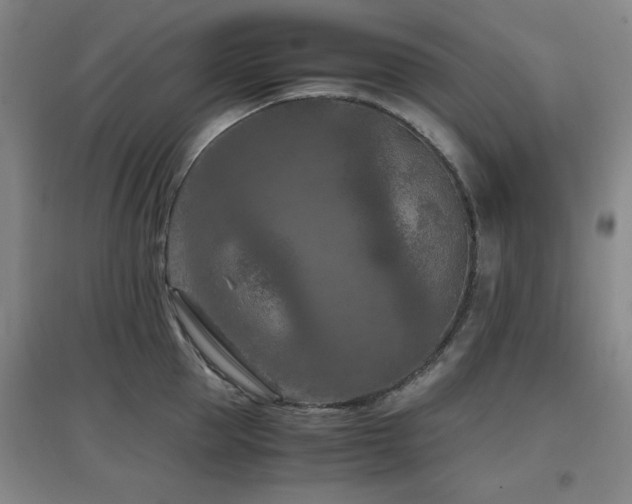 X0000097660953200802291423