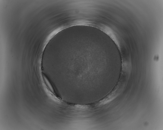 X0000097660954200802291423
